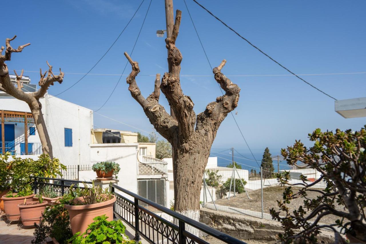 Maisonette In Roussa Ekklisia Sitia  Exteriér fotografie